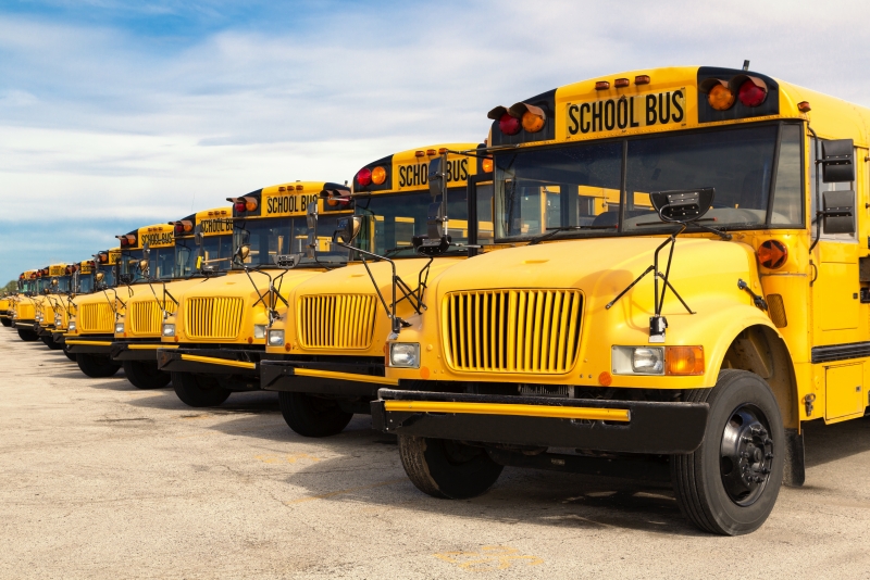many school buses in a line